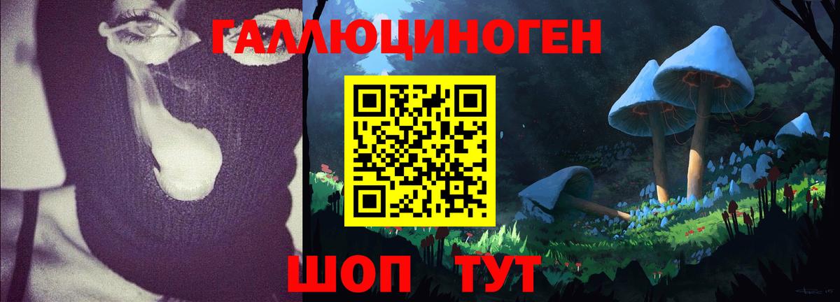 Псилоцибиновые грибы мицелий  Вход с VPN  Электрогорск 
